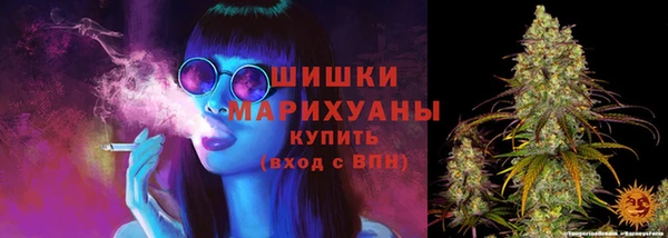 МДПВ Дмитровск