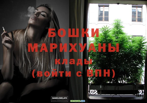 бошки Дмитров