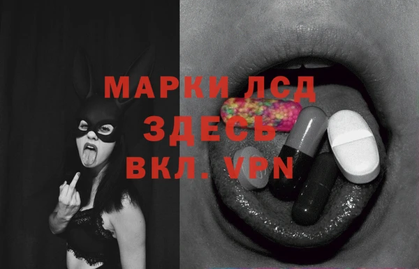 бошки Дмитров