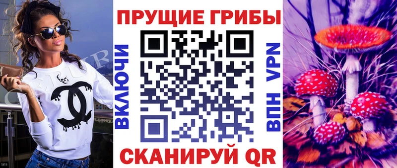 Купить закладки Ковров Галлюциногенные грибы Magic Shrooms
